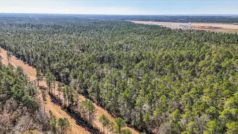 Saracennia Point, Moss Point, MS 39562 photo 10