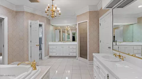 Bath - 2205 E 3rd St, Forest, MS 39074 photo 4 of 8
