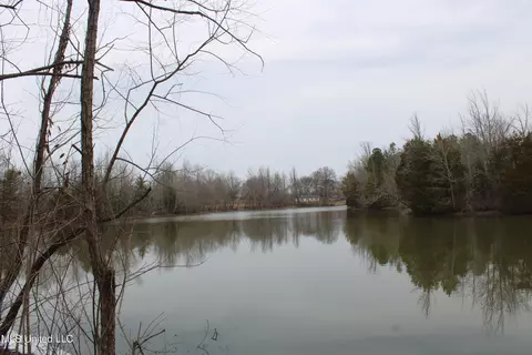 4325 Highway 301, Lake Cormorant, MS 38641