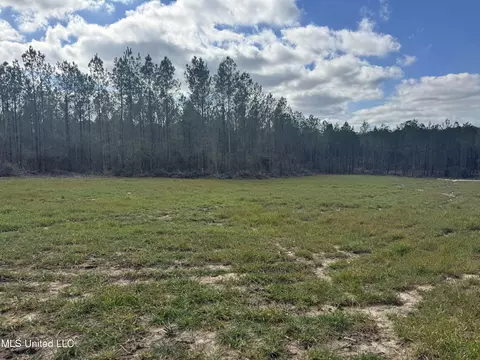 Smiley Honea Road, Magnolia, MS 39652
