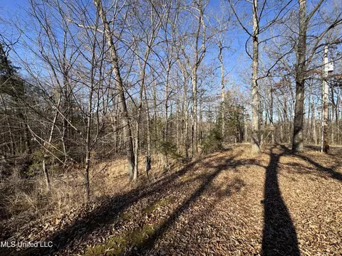 Exterior - 778 Steele Rd, Hernando, MS 38632 photo 3 of 5