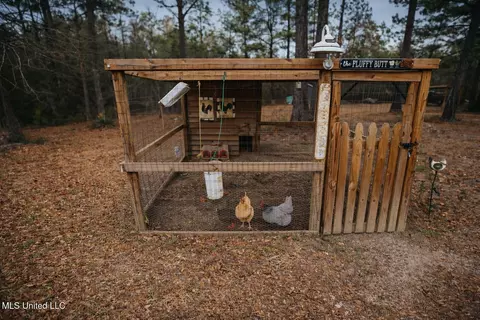 Exterior - 78 Percy Oneal Rd, Mchenry, MS 39561 photo 3 of 3
