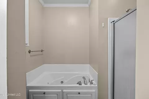 Bath - 504 Kate Lofton Dr, Brandon, MS 39047 photo 2 of 3