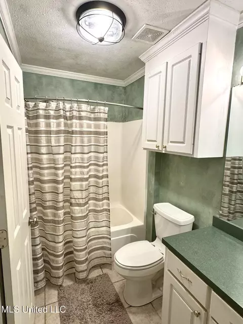Bath - 222 Cherrybark Ln, Brandon, MS 39047 photo 1 of 2