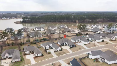 View/Area - 330 Wellstone Pl, Madison, MS 39110 photo 3 of 7