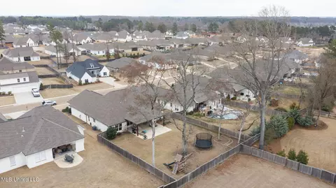 View/Area - 330 Wellstone Pl, Madison, MS 39110 photo 7 of 7