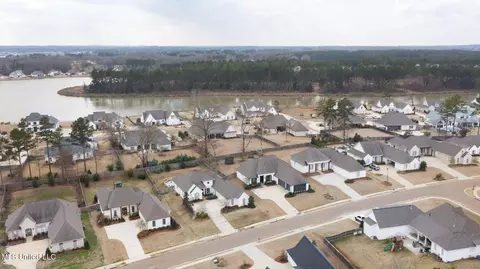 View/Area - 330 Wellstone Pl, Madison, MS 39110 photo 2 of 7