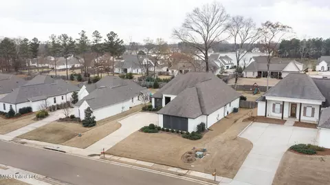 View/Area - 330 Wellstone Pl, Madison, MS 39110 photo 1 of 7