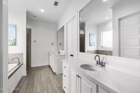 Bath - 330 Wellstone Pl, Madison, MS 39110 photo 2 of 8