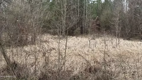 01 Magnolia Hts, Forest, MS 39074