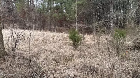 01 Magnolia Hts, Forest, MS 39074 photo 3