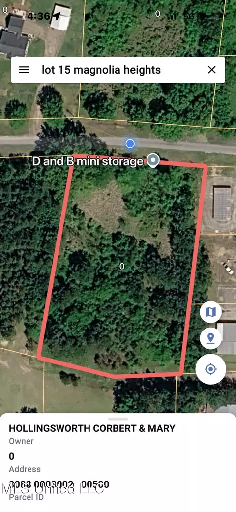 01 Magnolia Hts, Forest, MS 39074 photo 2