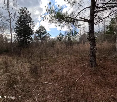 Saint John Road Road, Braxton, MS 39044 photo 3