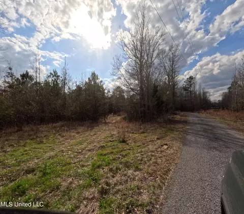 Saint John Road Road, Braxton, MS 39044 photo 21