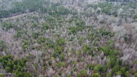 Saint John Road Road, Braxton, MS 39044 photo 31
