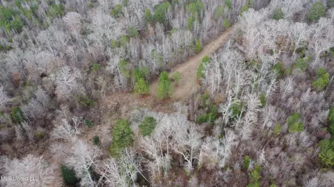 Saint John Road Road, Braxton, MS 39044 photo 32