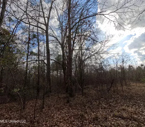 Saint John Road Road, Braxton, MS 39044 photo 20