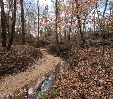 Saint John Road Road, Braxton, MS 39044