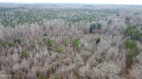 Saint John Road Road, Braxton, MS 39044 photo 24