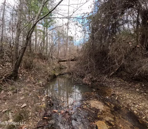 Saint John Road Road, Braxton, MS 39044 photo 6