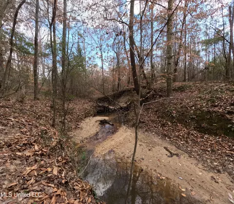 Saint John Road Road, Braxton, MS 39044 photo 17