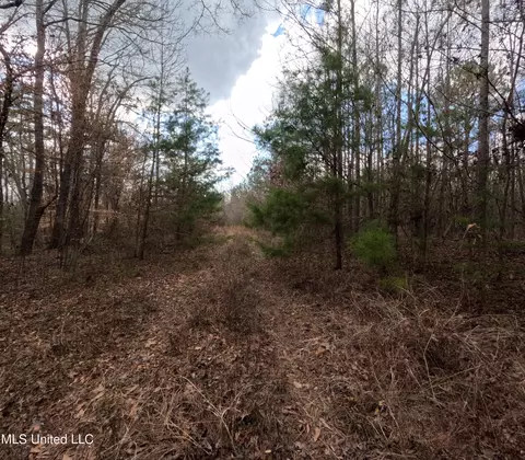Saint John Road Road, Braxton, MS 39044 photo 11