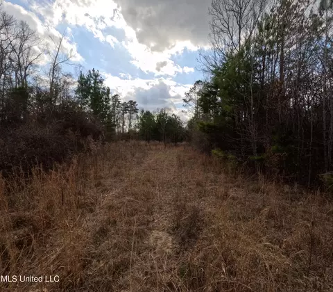 Saint John Road Road, Braxton, MS 39044 photo 14