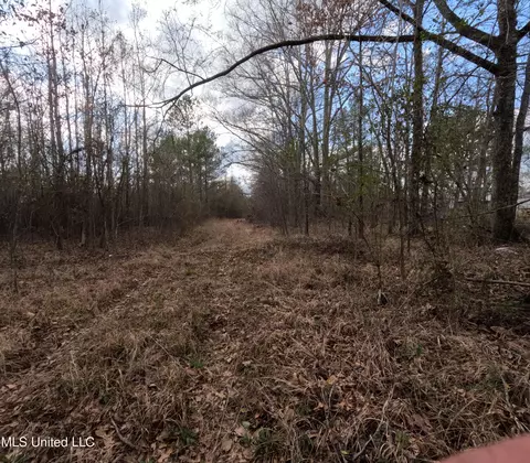 Saint John Road Road, Braxton, MS 39044 photo 18