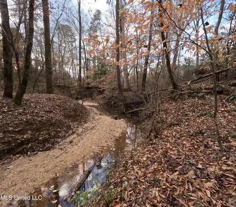 Saint John Road Road, Braxton, MS 39044 photo 16
