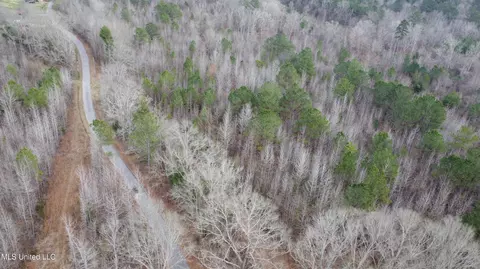 Saint John Road Road, Braxton, MS 39044 photo 22