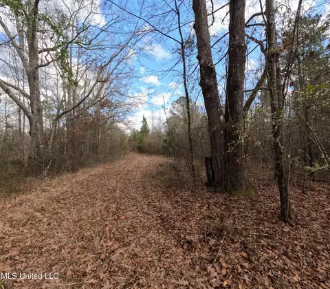 Saint John Road Road, Braxton, MS 39044 photo 19