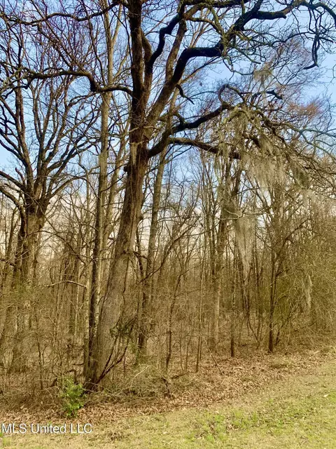 0 Warwick Rd, Clinton, MS 39056 photo 3