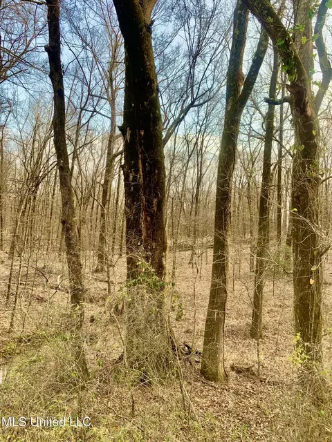0 Warwick Rd, Clinton, MS 39056 photo 4