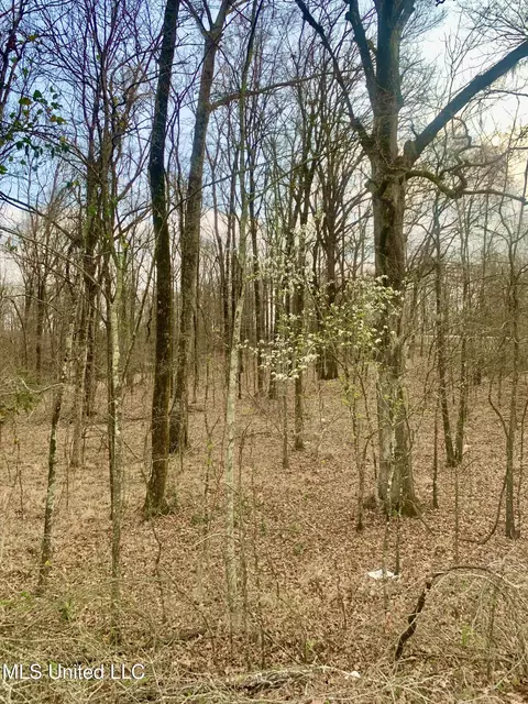 0 Warwick Rd, Clinton, MS 39056