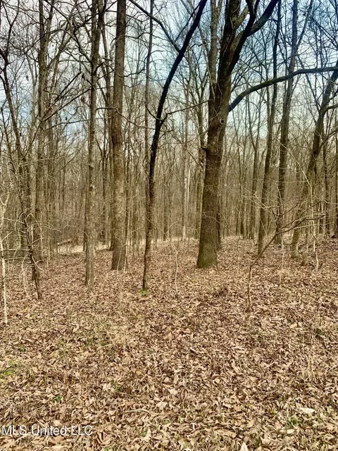 0 Warwick Rd, Clinton, MS 39056 photo 5