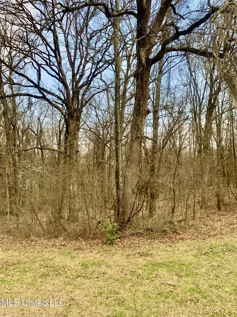 0 Warwick Rd, Clinton, MS 39056 photo 6