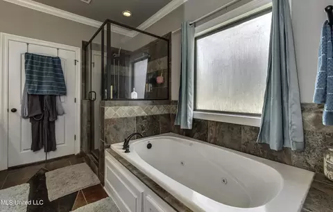 Bath - 601 Emerald Ct, Brandon, MS 39047 photo 5 of 7
