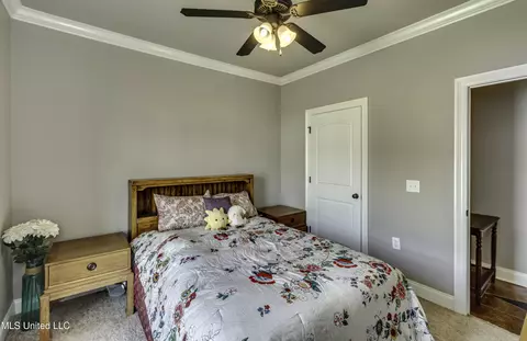 Bedroom - 601 Emerald Ct, Brandon, MS 39047 photo 2 of 9