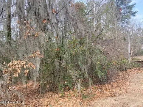 Dunlieth W Dunleith Way, Clinton, MS 39056