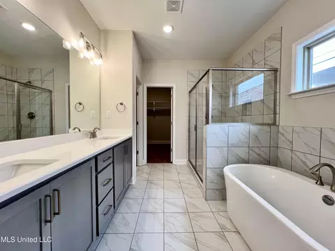 Bath - 2233 Scott Meadows Ln, Hernando, MS 38632 photo 1 of 1
