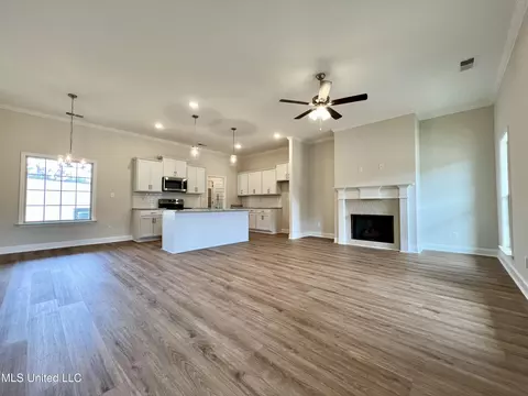 Living - 2233 Scott Meadows Ln, Hernando, MS 38632 photo 1 of 5