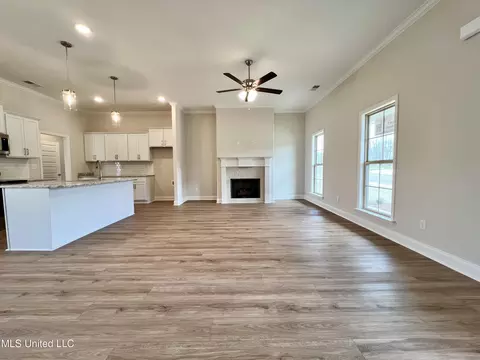 Living - 2233 Scott Meadows Ln, Hernando, MS 38632 photo 2 of 5