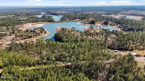 lot17 Mitchell Rd, Leakesville, MS 39451