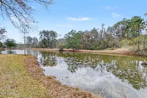 View/Area - 109 Mossy Oak Rd, Lucedale, MS 39452 photo 1 of 9