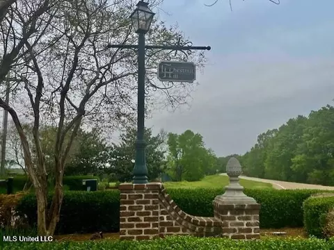 Chestnut Hill Road, Flora, MS 39071