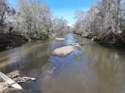 2194 Brandi Rd, Summit, MS 39666