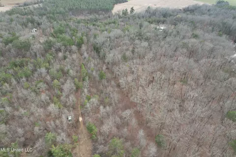 Gordon Road, Duck Hill, MS 38925
