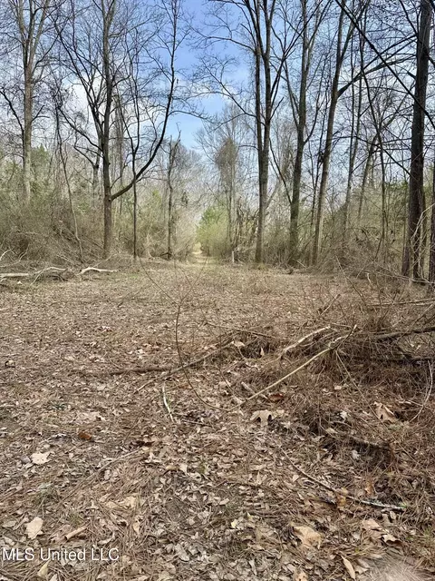 2062 2063 Lazy Creek Rd, Summit, MS 39666 photo 44