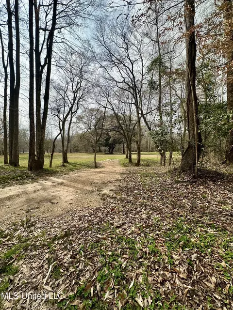 2062 2063 Lazy Creek Rd, Summit, MS 39666 photo 30