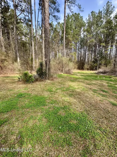 2062 2063 Lazy Creek Rd, Summit, MS 39666 photo 26